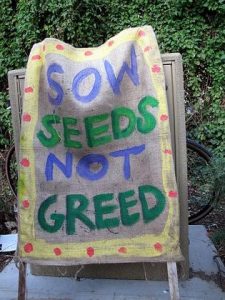 Sow Seeds Not Greed