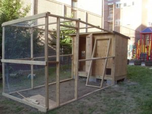 Finished chicken coop