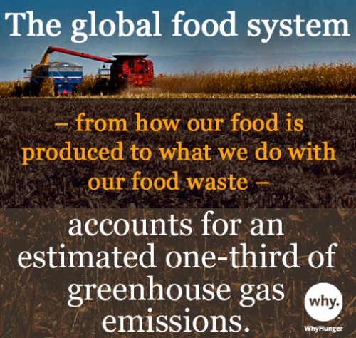 4.10 climate change what we're reading