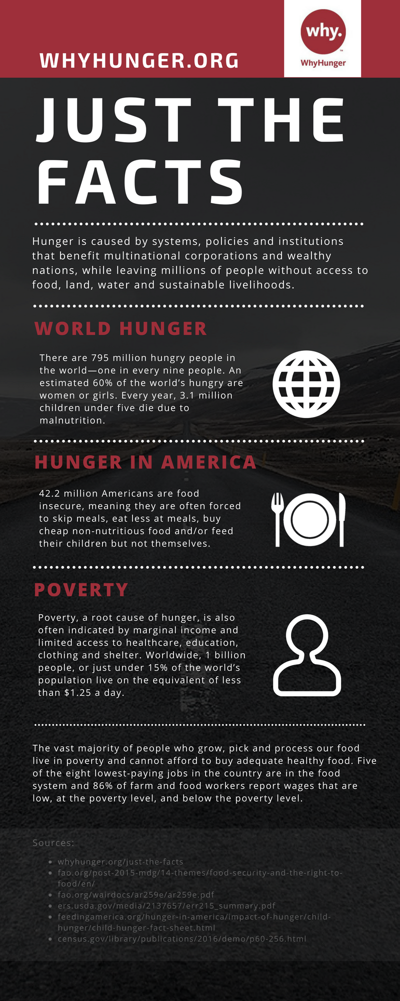 Why Hunger Just the Facts final