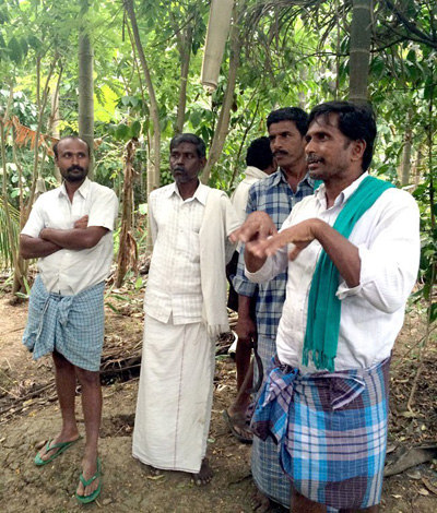 Krishnappa standing on the edge of his food forest sharing his experiential knowledge of Zero Budget Natural Farming with local farmers. Photo credit: WhyHunger