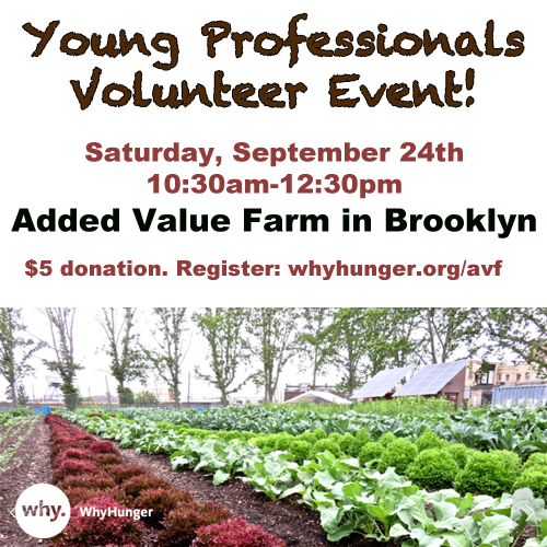 YP Added Value final
