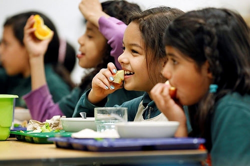 #SaveSchoolMeals: Statement Opposing House School Meals Block Grant 