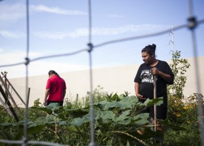 Storytelling Spotlight: Youth Farm and Market Project