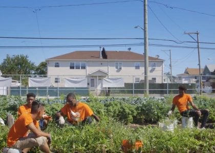 Connecting Hunger and Health in Brooklyn & Beyond