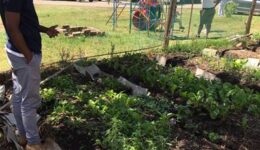 Restoring My Indigeneity: Reflections on South Africa Agroecology Exchange by a Queer Black Urban Farmer, Dean Jackson