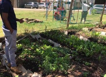 Restoring My Indigeneity: Reflections on South Africa Agroecology Exchange by a Queer Black Urban Farmer, Dean Jackson