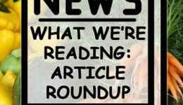Blog Post Article Round-Up version 4