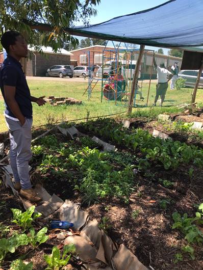 Restoring My Indigeneity: Reflections on South Africa Agroecology Exchange by a Queer Black Urban Farmer, Dean Jackson