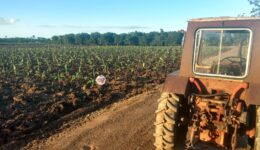 Agroecology