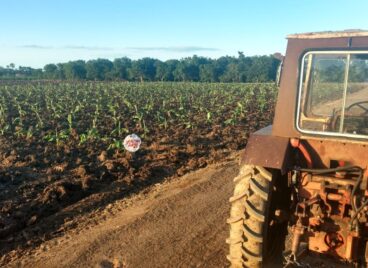 Agroecology