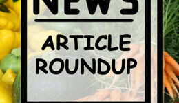 Blog Post Article Round-Up image