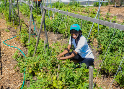 #BHM: A Brief Look At The Importance of Black Food Sovereignty