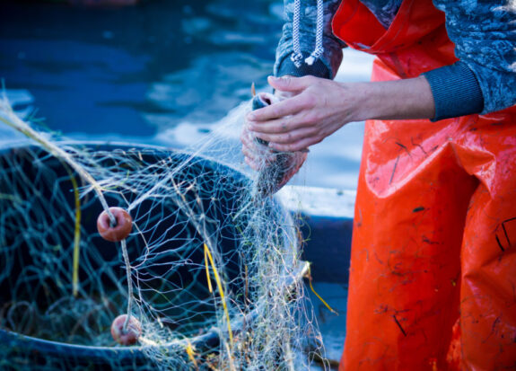 fisherman while cleaning the fishnet from the fish