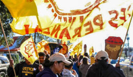 ciw9
