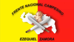 logo fncez