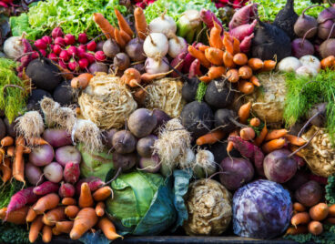 Empowering the People to Nourish: Right to Food in the State of Maine