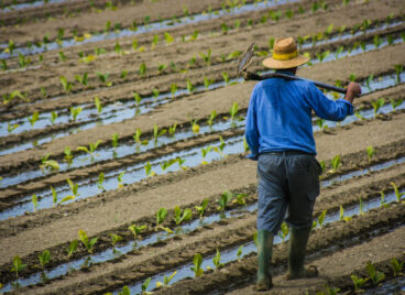 Agribusiness2_