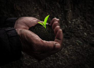 Workers hand with seedlings in the dark