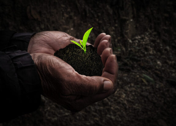 Workers hand with seedlings in the dark