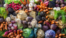 Empowering the People to Nourish: Right to Food in the State of Maine
