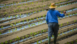 Agribusiness2_
