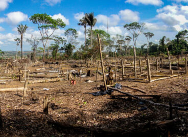 Amazon-Deforestation