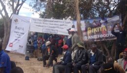 Perspectives: The Fight for Food Sovereignty in Zimbabwe