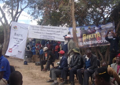 Perspectives: The Fight for Food Sovereignty in Zimbabwe