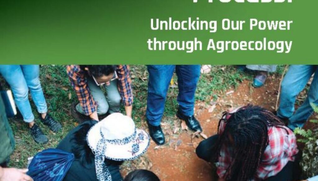 1132-People Agroecology_ENGLISH_ONLINE-Single_Page_01