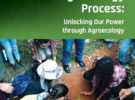 Caribbean and North American Grassroots Organizations Lead the Way Towards Food Sovereignty