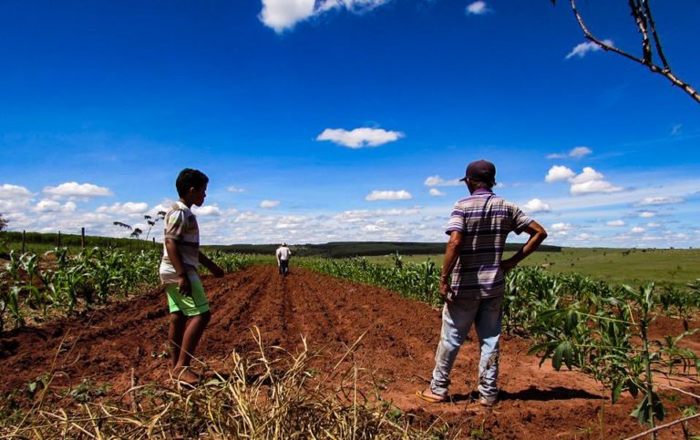 Brazilian Farmers Threatened with Eviction During Global Pandemic