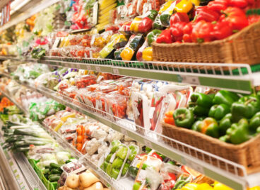 Right-to-Food-Stock