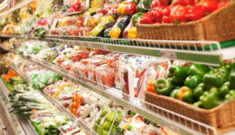 Right-to-Food-Stock