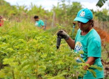 200930-agroecology-brazil-landless-workers-movement-MST-globalization-land-access-consolidation-peasants-rights-11-seedlings-credit-Tania-Rego-Agencia-Brasil.jpg