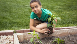 Little Girl Planting a new Plant