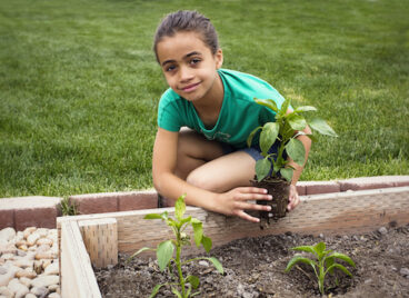 Little Girl Planting a new Plant