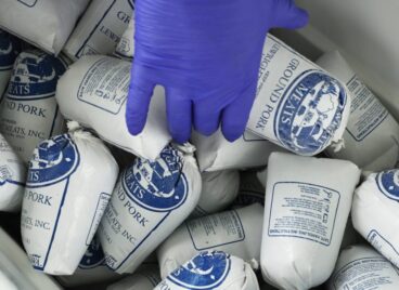 volunteer-reaches-for-frozen-ground-pork-with-glove-Nov-2020