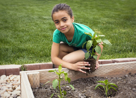 Little Girl Planting a new Plant
