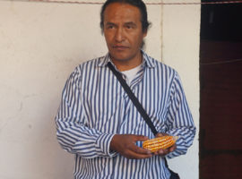 En Defensa del Maíz: Una mirada a la decisión de México de eliminar las importaciones de maíz transgénico