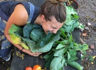 Harvest