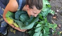 Harvest