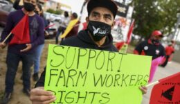Support Farm Worker's Rights