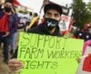 Why Farmers are Opposed to the Farm Workforce Modernization Act