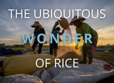 Beyond the Bowl: The Ubiquitous Wonder of Rice
