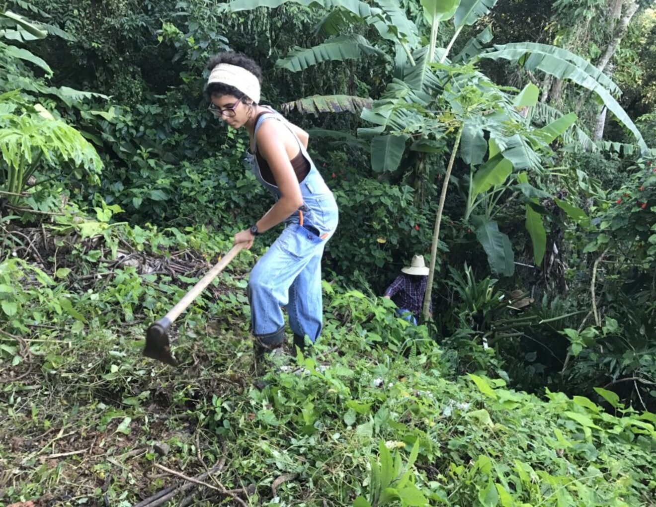 Agroecology