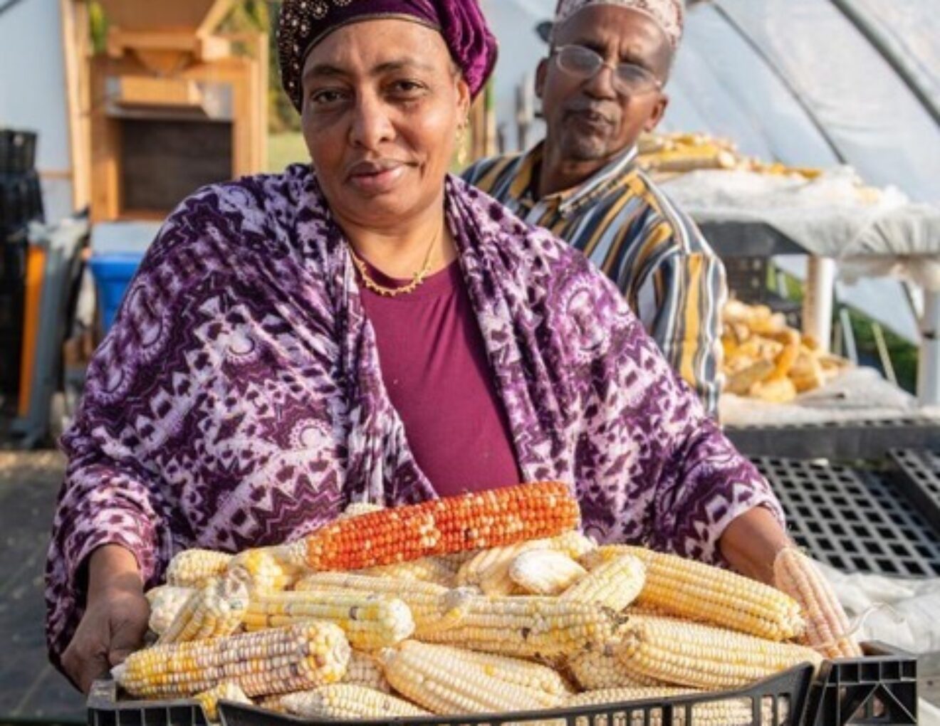 Black-and-Indigenous-Food-Sovereignty-