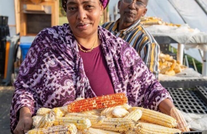 Building Food Sovereignty (2000s)