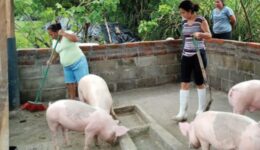1320-WH FJV_ACOMPANO_ElSalvador_SPA_V4_page-0009