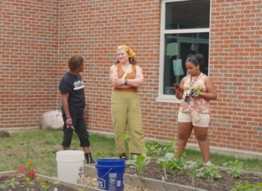 Black Food Sov. Video